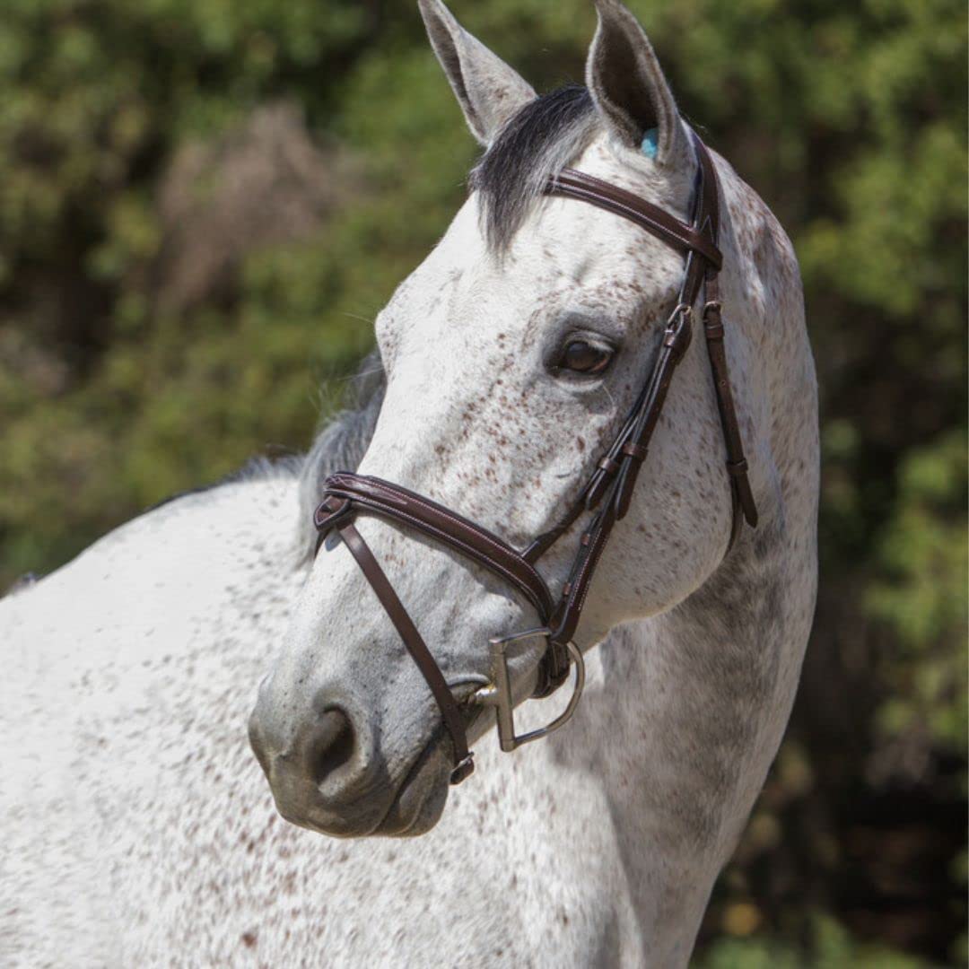 ExionPro Anatomical Snaffle Jumping Bridle for Horses with Removable Flash Noseband & Rubber Reins– Premium Vegetable-Tanned Leather, SS Buckles, Padded MonoCrown, Designer Stitching