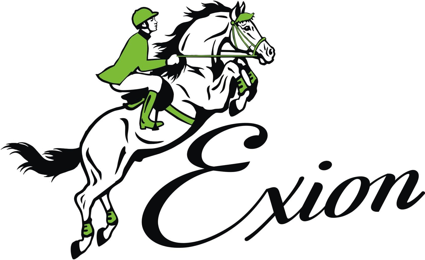 Exion Figure 8 English Jumping Bridle with Soft Padding & Rubber Reins | Anatomical Mono Crown | Grackle Noseband Mexican Bridle with Brass Buckles | Premium Horse Bridle for Jumping & Eventing