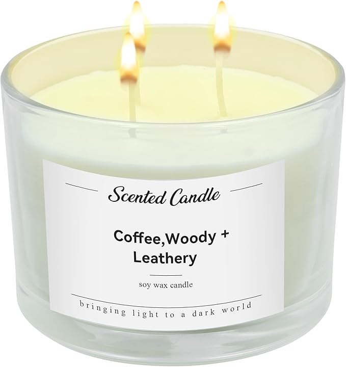 Premium 3-Wick Scented Candle 420g, Jar Aromatherapy Candle Birthday Gifts for Men and Women, Long Lasting 50H, Soy Wax Natural Essential Oil Blend for Home Office Spa (Coffee+Woody+Leathery)