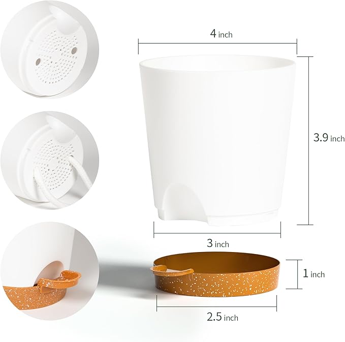 4 inch Small Plant Pots for Outdoor Indoor Plants, 5 Pack Planters with Drainage Holes and Tray, Small Self Watering Pots for Succulent,Cactus, Aloe and Other Plants (White)