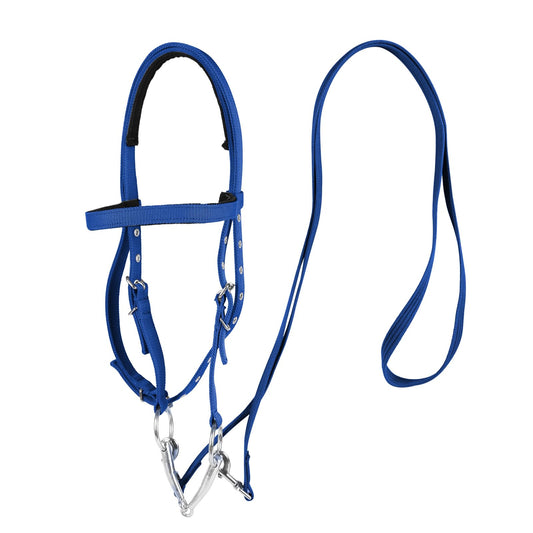 BIGANTTOW Adjustable Horse Bridle with Stainless Steel Bit, Black Nylon Headstall with Reins, Horse Bridles with Bit Non-Slip Design (Blue, L)