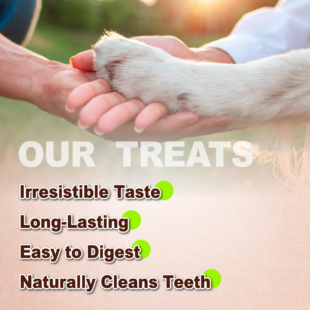 AFreschi Natural Turkey Tendon Bone (S) 8 oz, USA-Sourced Turkey Tendon, All Natural Puppy Chew, Hypoallergenic, Rawhide Alternative, for Small Breeds