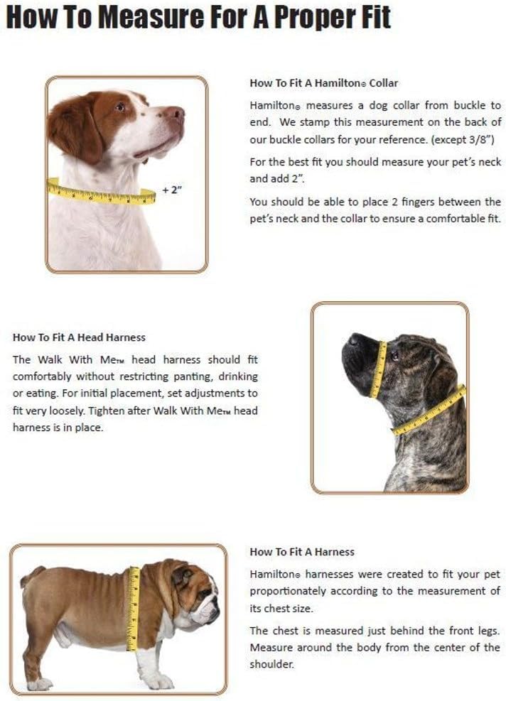 Hamilton Adjustable Comfort Nylon Dog Harness, Red, 5/8" x 12-20"
