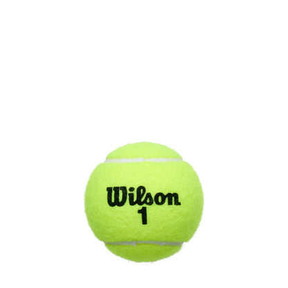 WILSON Championship Tennis Balls - Extra Duty, Single Can (4 Balls)