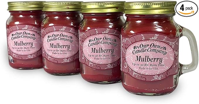 Mulberry Scented Mini Mason Jar Candle by Our Own Candle Company, 3.5 Ounce (4 Pack)