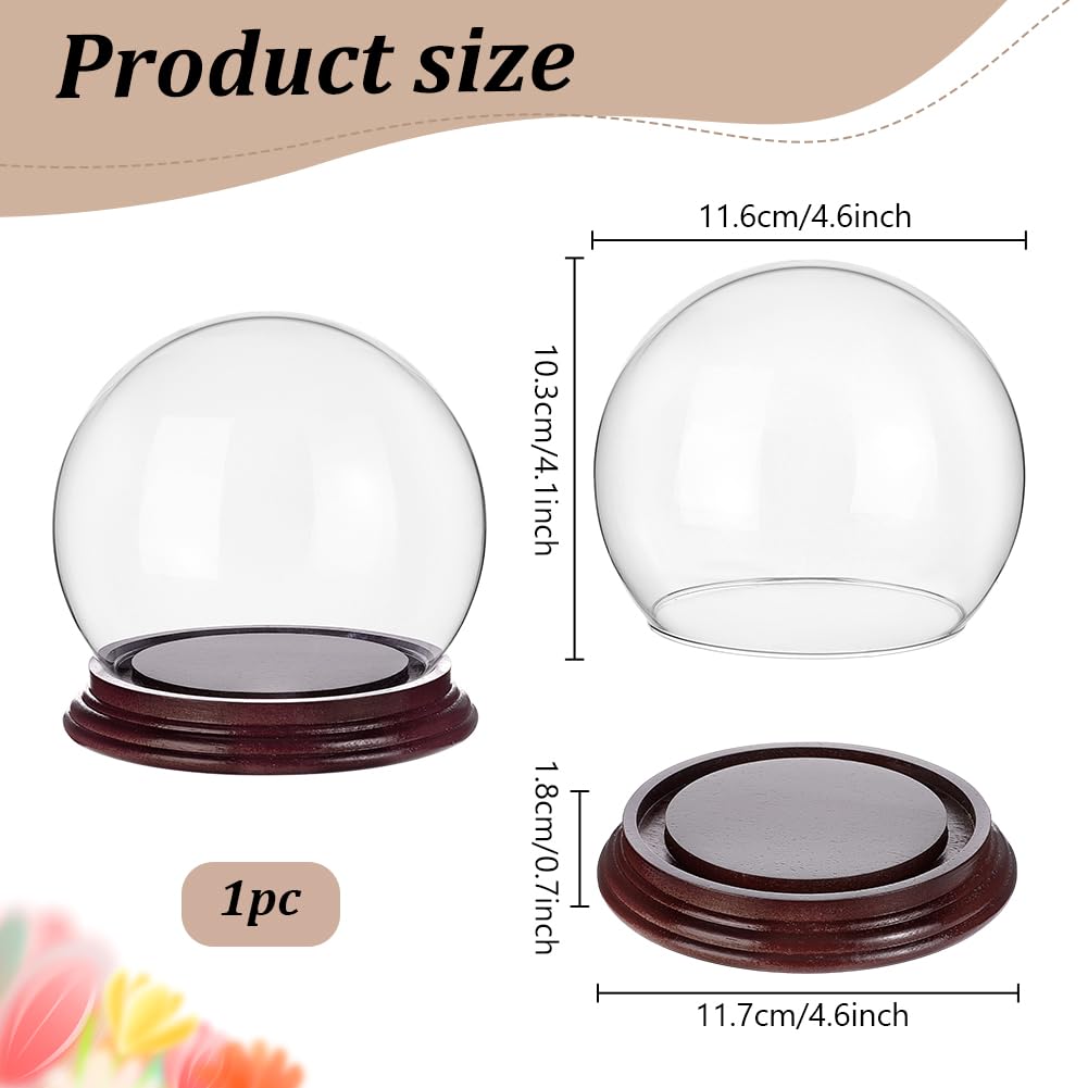PH PandaHall 4.5x4.4 Cloche Glass Dome Display Clear Dome with Base Mini Crystal Display Case Vintage Style Centerpiece Stand Bell Jar for Watch Jewellry Miniatures Figurines Display