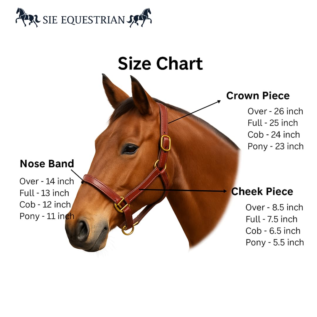 SIE English Horse Leather Braided Brown Halter (Cob)