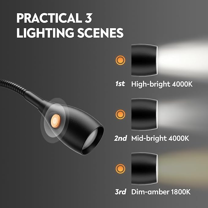 acegoo Wall Mounted Minimalist Bedside Reading Light, Wooden Headboard Mount Flexible Gooseneck Book Light, Handy Lamp Head Switch, CRI 98+ 4000K LED, Powered by USB