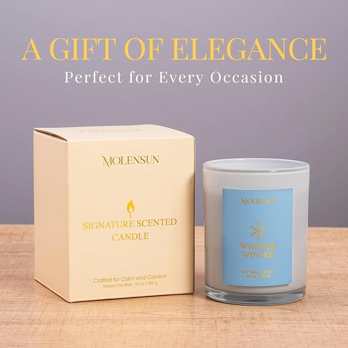 Whisper Winter Candle, 10oz Soy Scented Candle for Home, Christmas Birthday & Holiday Gifts for Women & Men, Long Lasting 50+ Hour Clean Non-Toxic Burn, Elegant Winter & Christmas Festive Home Decor