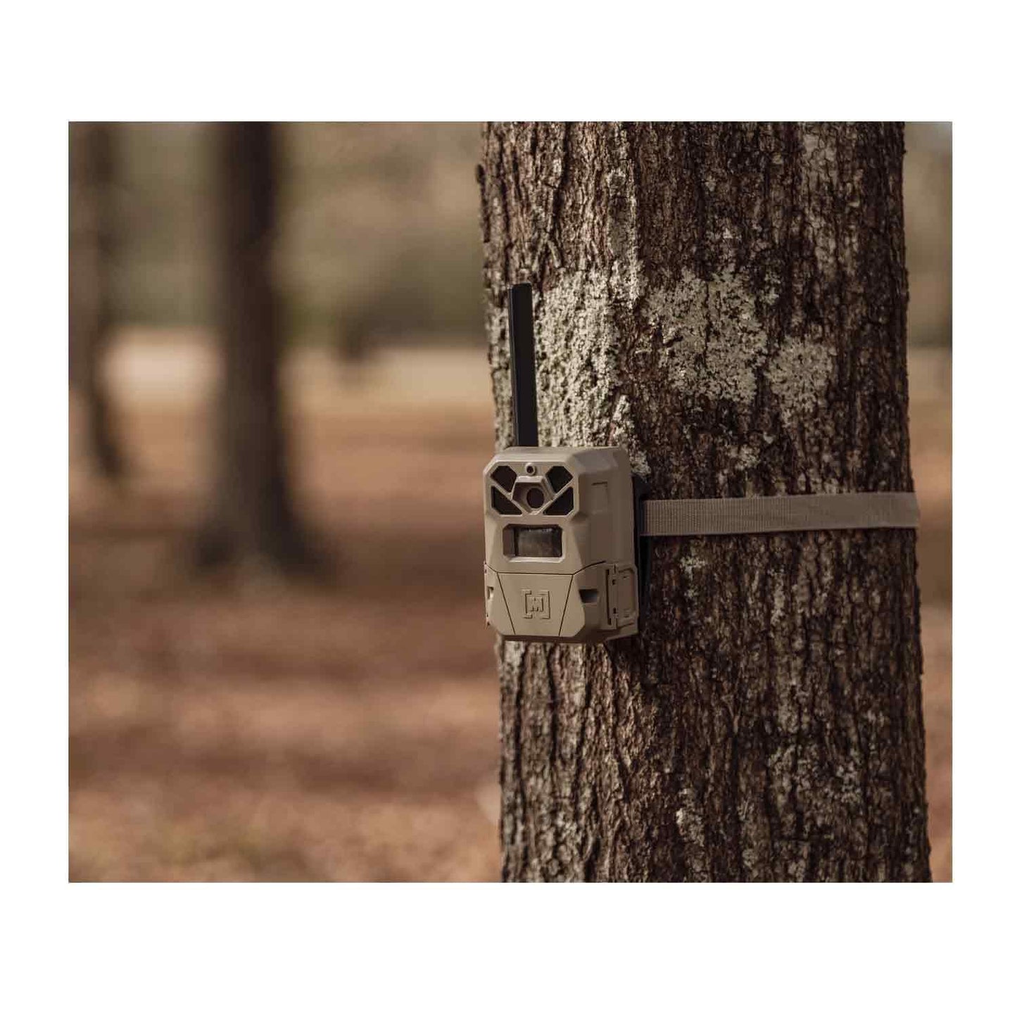 Moultrie Edge 2 Cellular Trail Camera Scout-N-Scrape Kit, Camera and Code Blue Rope a Dope Bundle