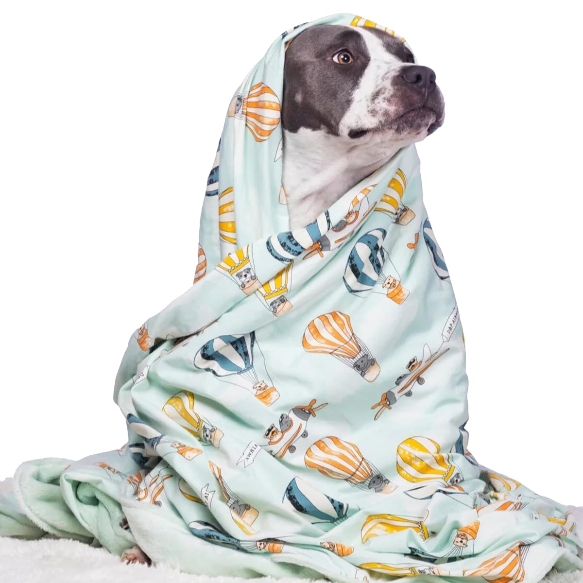 Darren & Phillip Licensed to Fly Blanket - Ultra-Soft Blankets Made with Plush Fleece - Perfect as a Dog Bed Blanket or for Cuddling with Your Pup - Ultra-Snuggly Blankets for Dogs & Humans