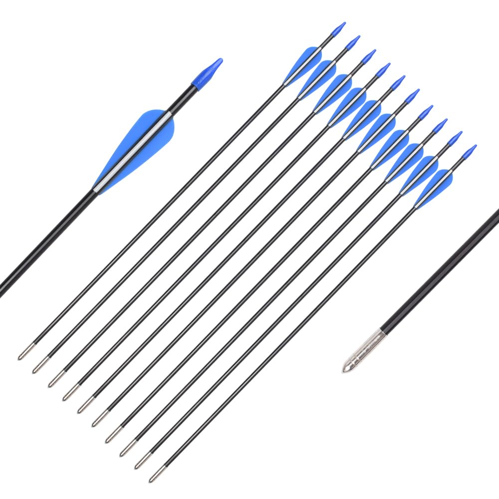 Fiberglass Arrows Archery 28 Inch Target Shooting Practice Safetyglass with Blue and White Vane for Recurve Bows Suitable for Youth Woman Beginner 6 PCS