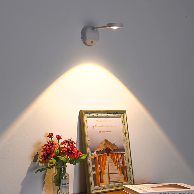 Wireless Picture Light Set of 2, Battery Operated Art Display Light with Motion Sensor and Rotatable Tube