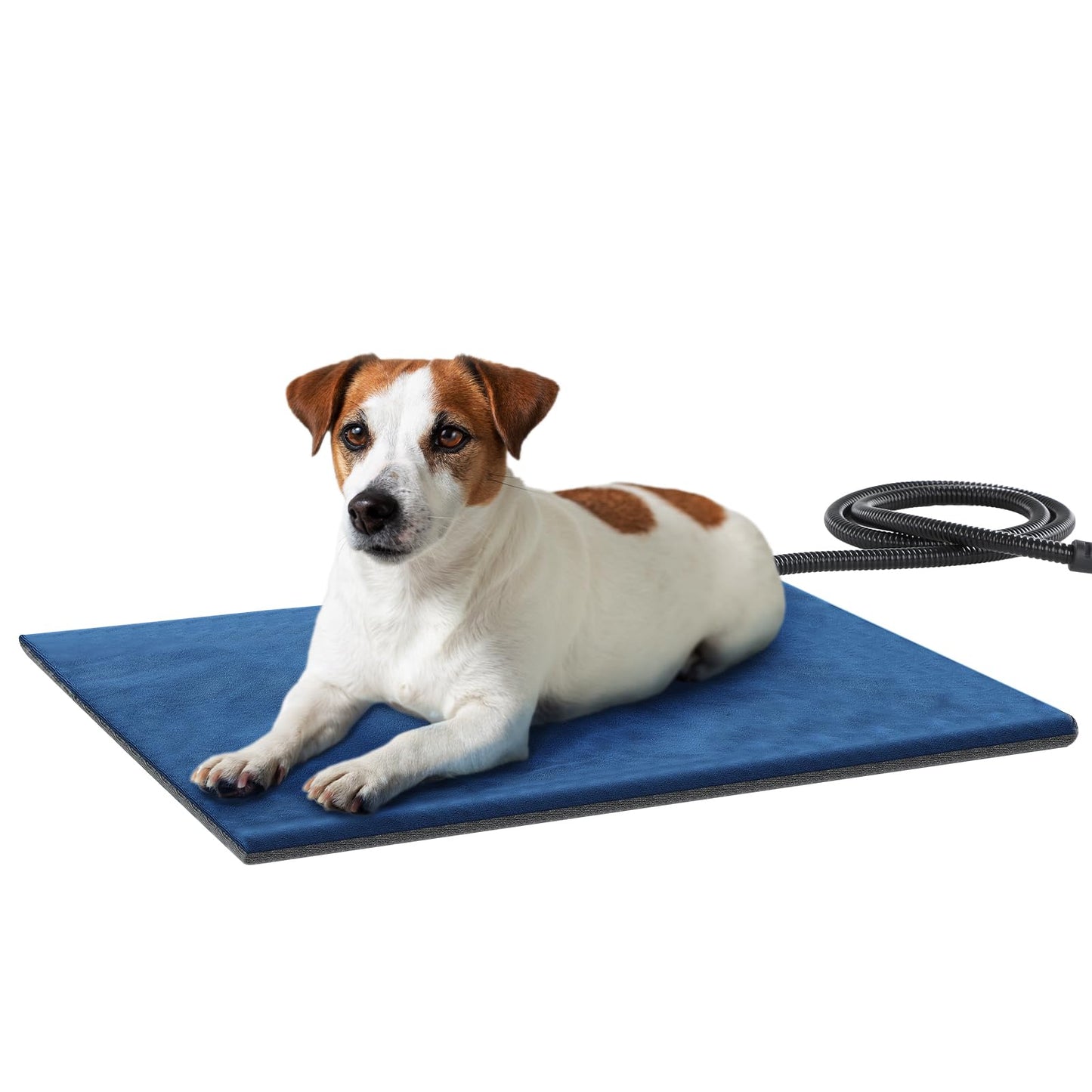 Pecute Cat Heating Pad Indoor, 6 Adjustable Temperature with Timer, Dog Heating Pad with Dual-Resistant Cable, Waterproof Layer, Heated Cat Bed Mat Blanket, Electric Pet Heated Pads for Cats Dogs