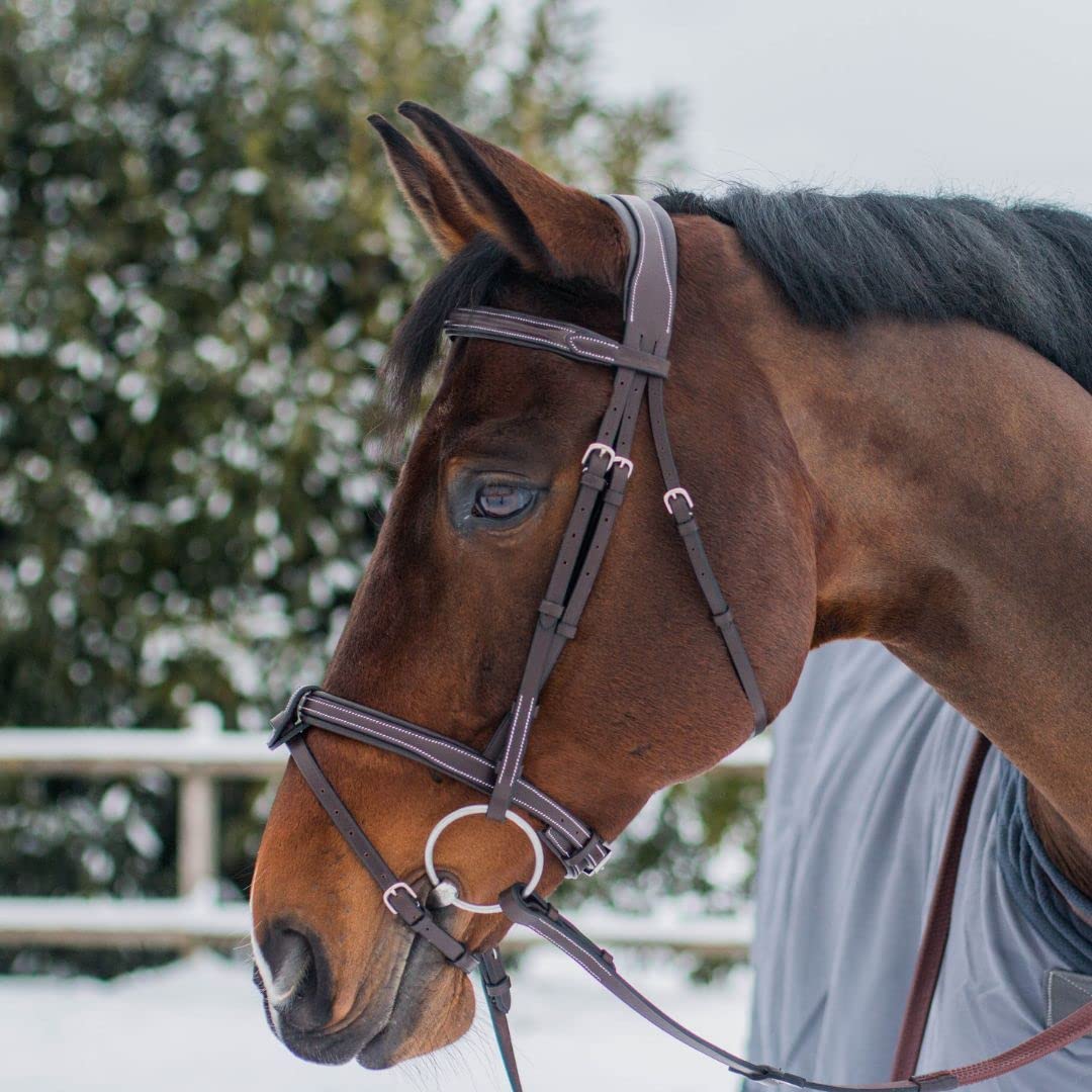 Exion Comfort Soft Lined Snaffle Hunter Jumping Bridle with Detachable Flash & Rubber Reins | Anatomical English Bridle for Horses (Black, Full)