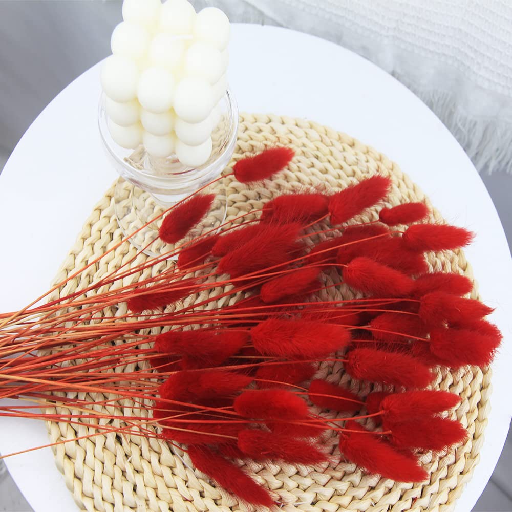 JOJAZE 60pcs Dried Bunny Tails Flowers Red Pampas Grass Natural Dried Floral Arrangement Dry Flowers for Christmas Halloween Boho Decor Home Wedding DIY Craft Decoration (16")…