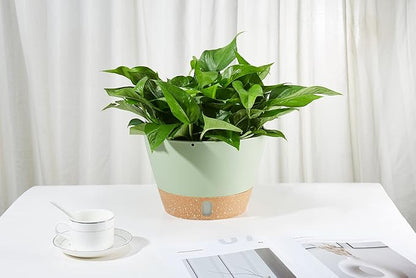 2 Pack Hanging Planters, 10 inch Indoor Outdoor Hanging Plant Pot Basket, Hanging Plastic Flower Pot with Drainage Hole with Removable Tray&Hooks for Hanging Plants,Green