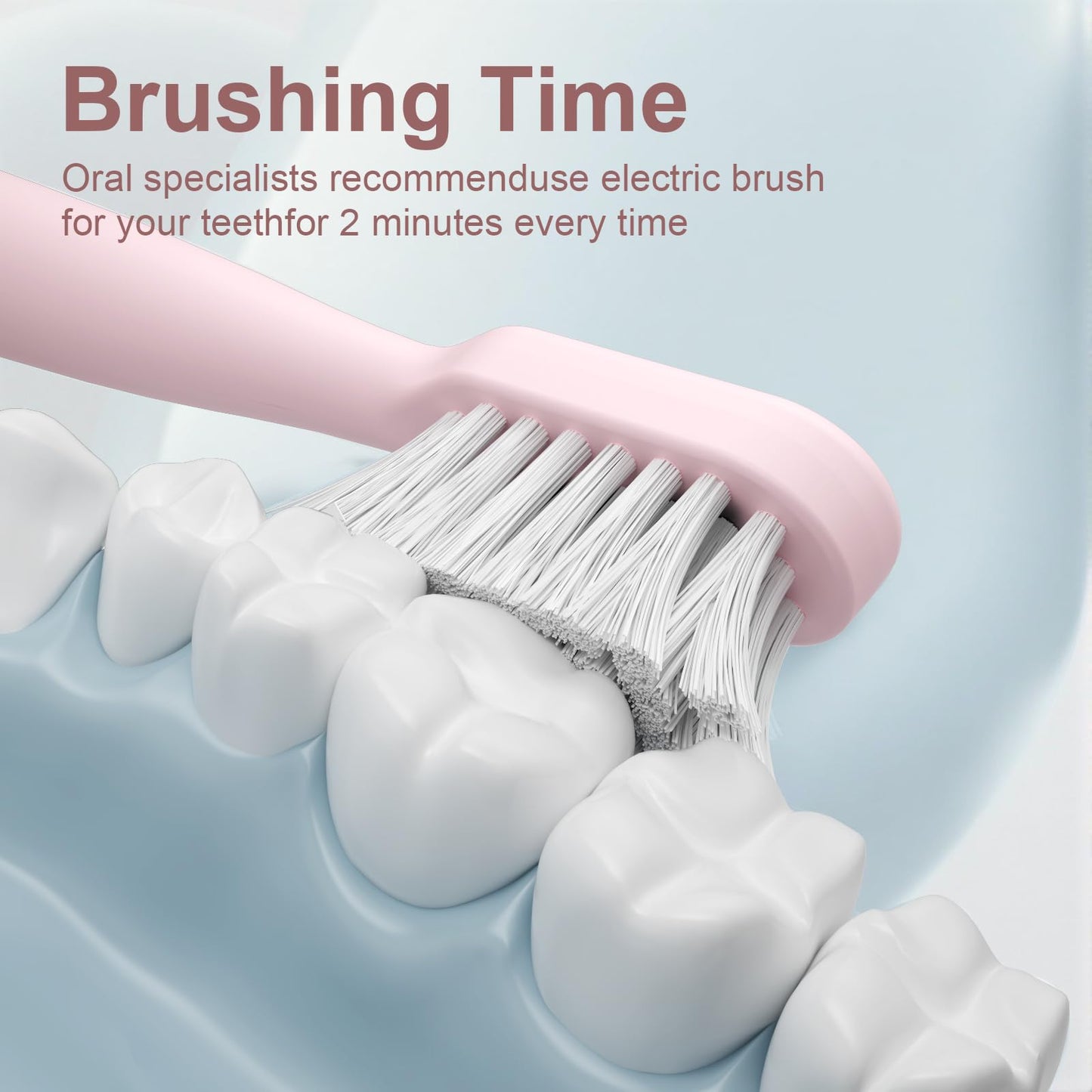 Electric Toothbrush Set with Drying & Sanitizing Holder, 8 Replacement Brush Heads, Transparent Rinse Cup, Smart Timer, USB Rechargeable for Adults