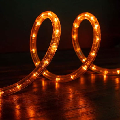 WYZworks 1116LEDs 100ft LED Outside Rope Lights, Outdoor ETL Certified Waterproof Permanent 360 Degree Light Emitting, Flexible Tube, Connectable, Christmas Palm Tree Exterior Landscape, Orange