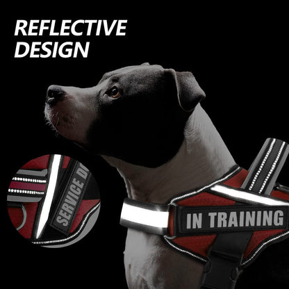 Dog Vest Harness and Patches Set, Animire in Training Service Dog Harness with 10 Dog Patches, Reflective Dog Vest with Handle for Small, Medium, Large, and Extra-Large Dogs