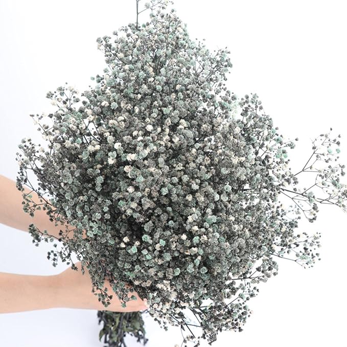 Dried Babys Breath Flowers Bouquet-17 Inch 2500+ Black Dried Flowers, Natural Dry Flowers for Wedding Flowers, Table Vase Decor, DIY Wreath Floral, Home Office Party Garden Decoration