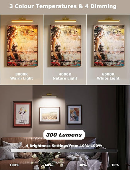 Picture Light Battery Operated, Wireless Art Light for Paintings, Dimmable 5000mAh Recharging Battery Picture Light with Remote Control for Wall, Gallery Dartboard Art Bedroom (Gold-1Pack)