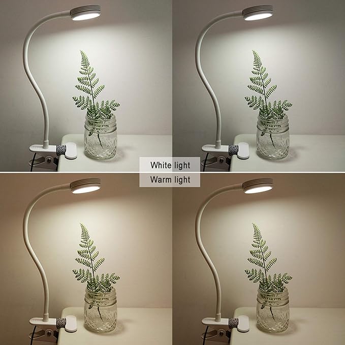 LEPOWER Clip on Light/Reading Lights/Book Light Color Changeable/Night Lights Clip on for Desk, Bed Headboard and Computers, Adapter Included (White)