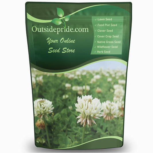 Outsidepride Perennial White Dutch Clover Seed - 1/4 lbs. Nitrocoated, Inoculated Clover Seeds for Lawn Alternative, Erosion Control, Food Plots, Ground Cover, & Pasture Mixtures in USDA Zones 3-10