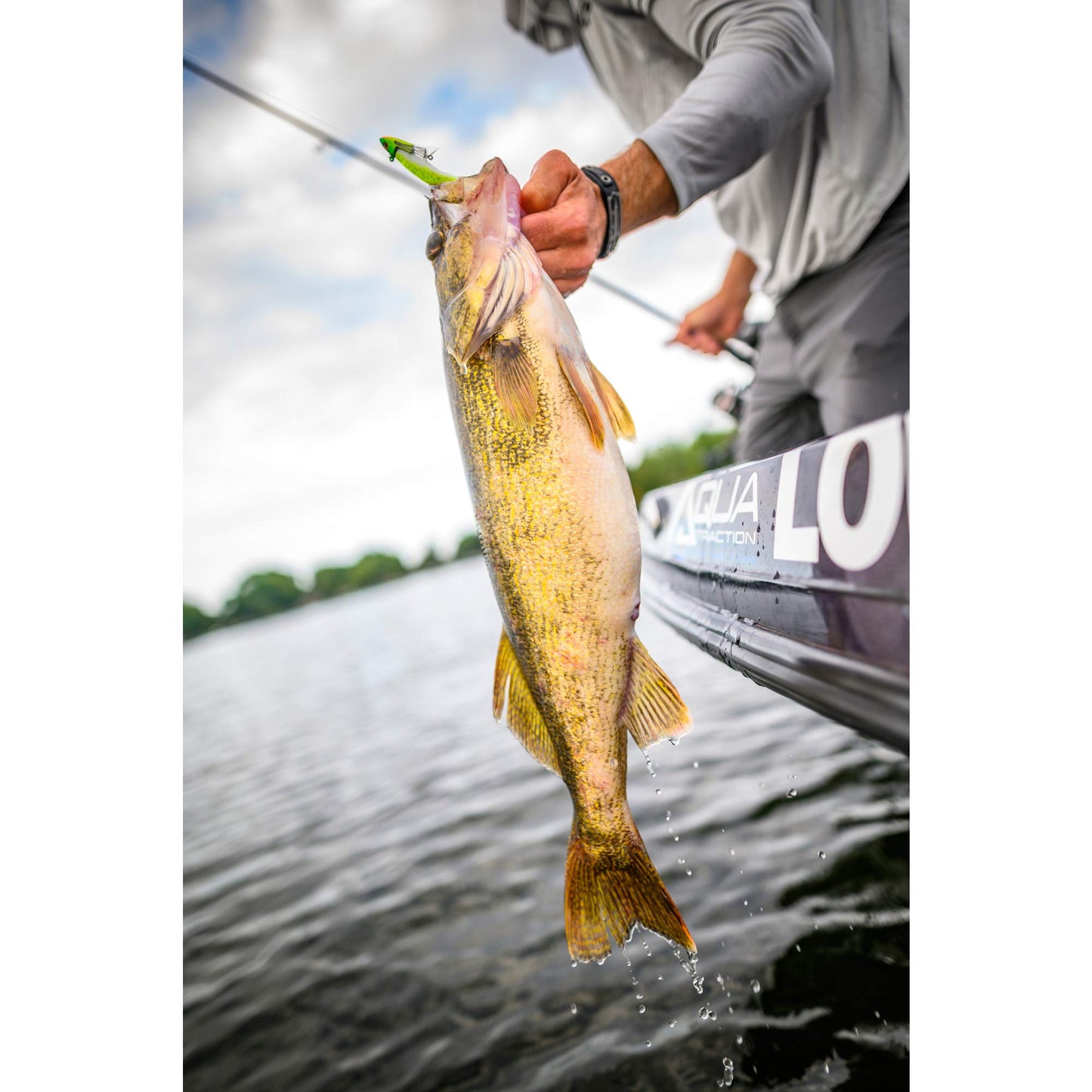 Berkley Gulp! Minnow,Black Shad,3-Inch