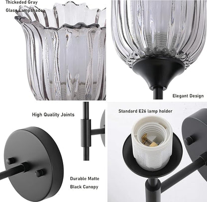 2-Lights Vintage Wall Sconce with Smoke Gray Glass Shades Mid Century Bathroom Vanity Wall Light Fixtures Industrial Matte Black Wall Lamp for Bedroom Mirror Living Room Restaurant