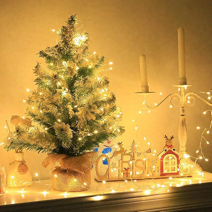 Plug in Firecracker Lights 100FT 1000 LED Warm White Copper Wire Indoor Cluster Fairy Lights with Remote Timer for Bedroom, Living Room, Tree, Garden, Porch, Patio, Backyard, Christmas Tree