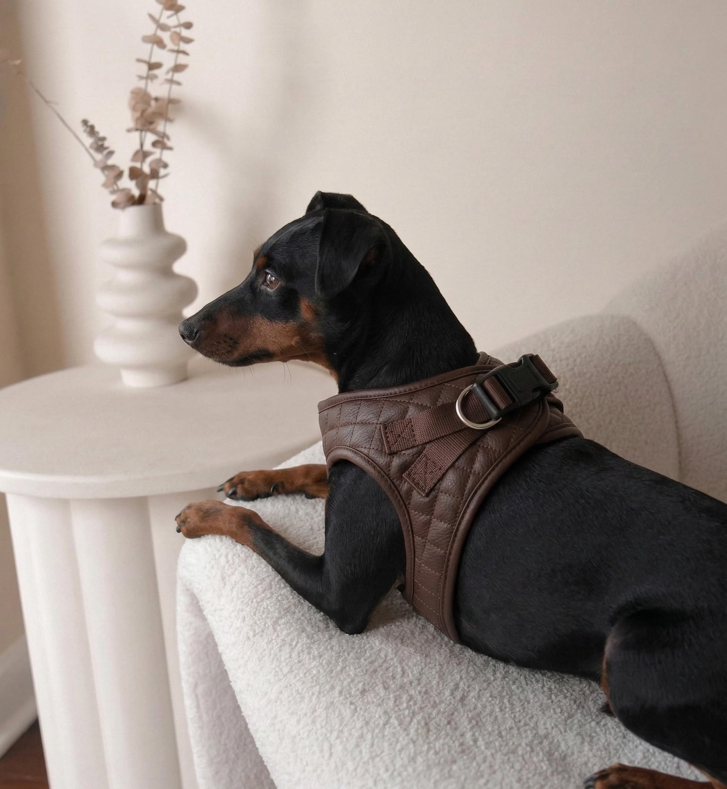 Step in Dog Cat Harness Lightweight Breathable Mesh Soft Padded Pet Vest Vegan Leather Choke Free Escape Proof for Small Medium Dogs (Chocolate Brown, Small)