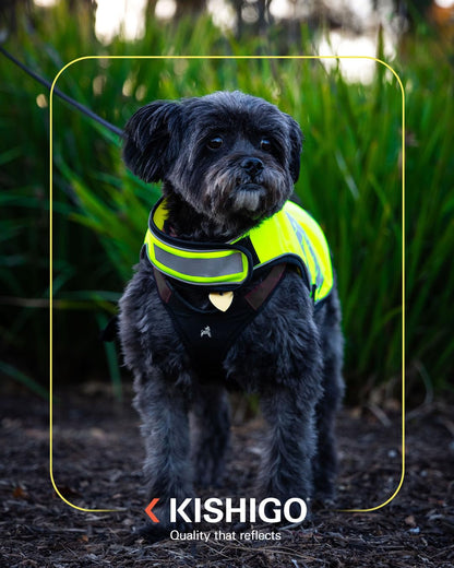 Reflective Dog Safety Vest, Harness and Collar Compatible, Waste Bag Holder, Water Resistant, Adjustable Neck and Chest, Day or Night Walking, High-Visibility Protection (Lime, L)