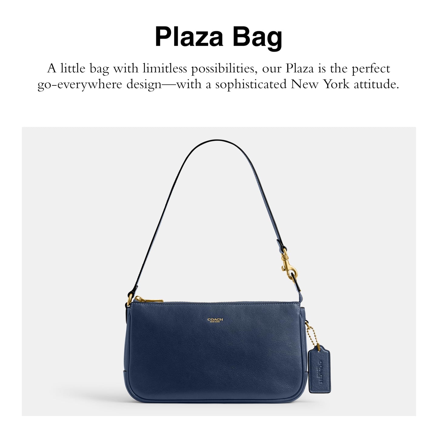 COACH Natural Grain Leather Plaza Bag