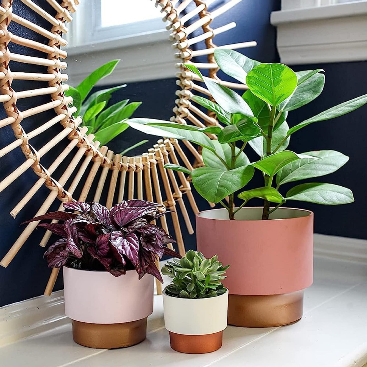 The HC Companies 3" Round Premium Plastic Sprite Pot Succulent Planter with Drainage - Vanilla Bisque with Copper Bottom Color
