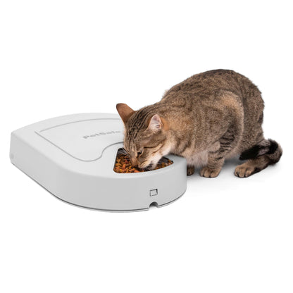 PetSafe 5 Meal Automatic Dog and Cat Feeder, Dispenses Dog Food or cat Food, Digital Clock