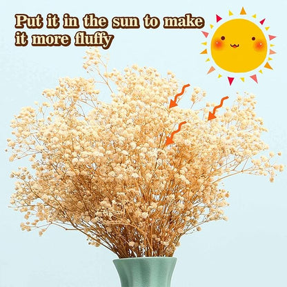 Babys Breath Dried Flowers Bouquet-17'' 2000+ Dry Flowers, Natural Gypsophila Branches for Wedding, Home Table Vase Decor, DIY Wreath Floral, Fall Thanksgiving Autumn Decoration (Ivory White, 2oz)