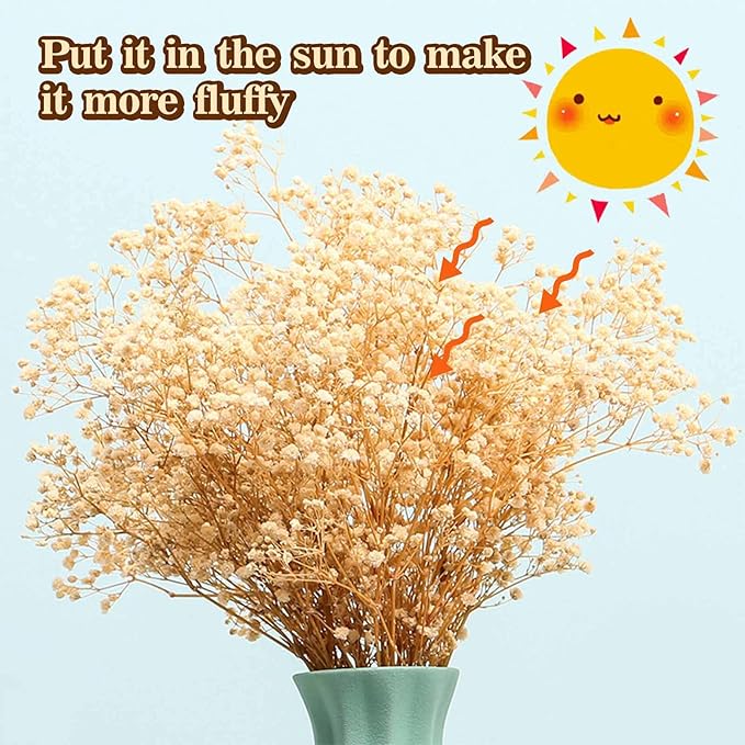 Dried Babys Breath Flowers Bouquet-17 Inch 2500+ Ivory White Dry Flowers, Natural Gypsophila Branches for Wedding, Table Vase Decor, DIY Wreath Floral, Home Office Party Garden Decoration (3oz)
