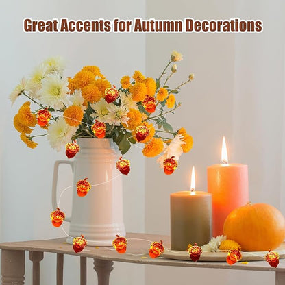 Thanksgiving Lights Fall Decorations Acorn Lights 30 LEDs 10ft Battery Powered, Fall Decor for Fireplace Farmhouse Autumn Tree Ornaments Home Decor