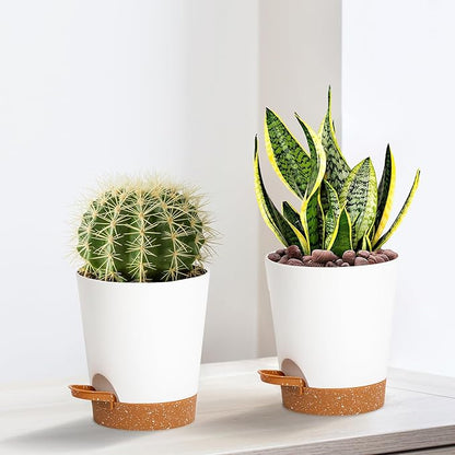 4 inch Small Plant Pots for Outdoor Indoor Plants, 5 Pack Planters with Drainage Holes and Tray, Small Self Watering Pots for Succulent,Cactus, Aloe and Other Plants (White)