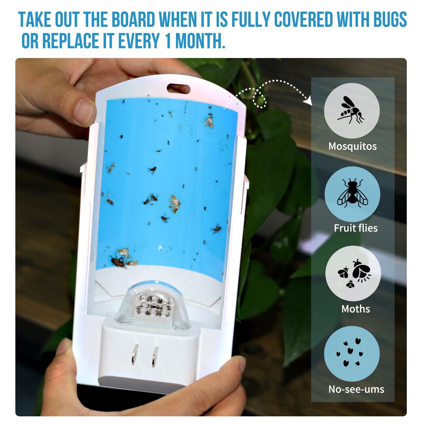 Flying Insect Trap Indoor, Plug-in Fruit Fly Trap for Indoor, Mosquito Killer Gnat Moth Fly Catcher with Night UV Light, Mosquito Attractant Bug Zapper for Home, Office (1 x Device & 4 x Refills)