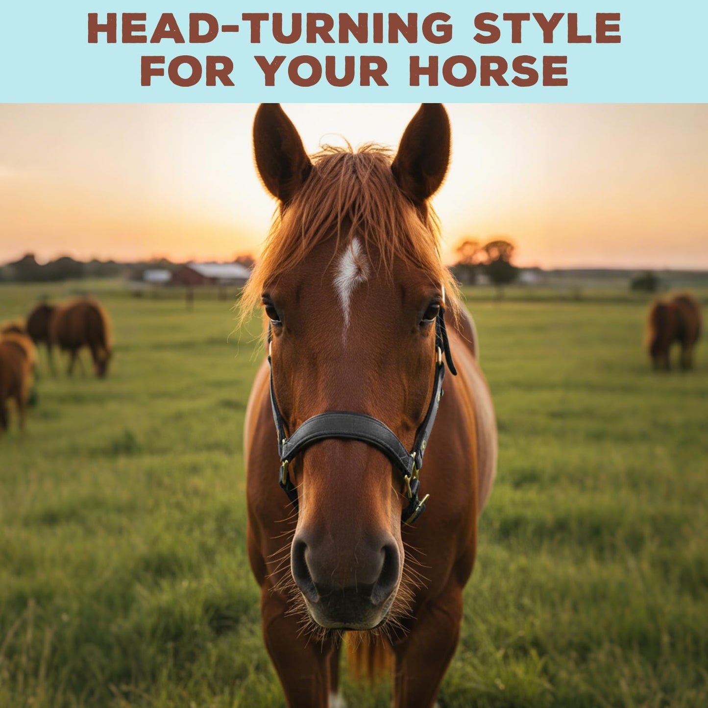 Yeyeplum Leather Halter for Horses, Equine Breakaway Nylon Rope Horse Halter with Snap & Adjustable Chin and Throat Snap Hook Halters for Training, Show and Daily Use, Average Size(Black Brown)