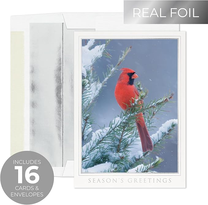 Masterpiece Let Nature Sing Cardinal Christmas Cards / 16 Boxed Holiday Seasons Greetings Card Set With Silver Foil Accents And Coordinating Envelopes / 5 5/8" x 7 7/8" Folded Winter Greeting Cards