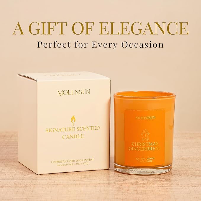 Christmas Gingerbread Candle, 10oz Soy Scented Candle for Home, Christmas Birthday & Holiday Gifts for Women & Men, Long Lasting 50+ Hour Clean Non-Toxic Burn, Elegant Winter & Christmas Home Decor