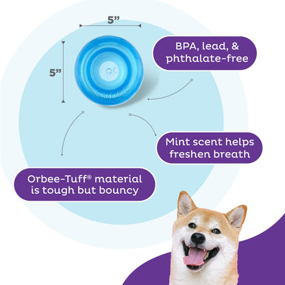 Planet Dog Orbee-Tuff Snoop Interactive Treat Dispensing Dog Toy, Large, Blue