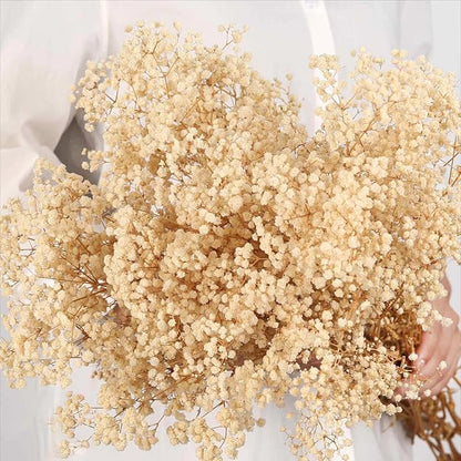 Babys Breath Dried Flowers Bouquet-17'' 3000+ Dry Flowers, Natural Gypsophila Branches for Wedding, Home Table Vase Decor, DIY Wreath Floral, Fall Thanksgiving Autumn Decoration (Ivory White, 3oz)