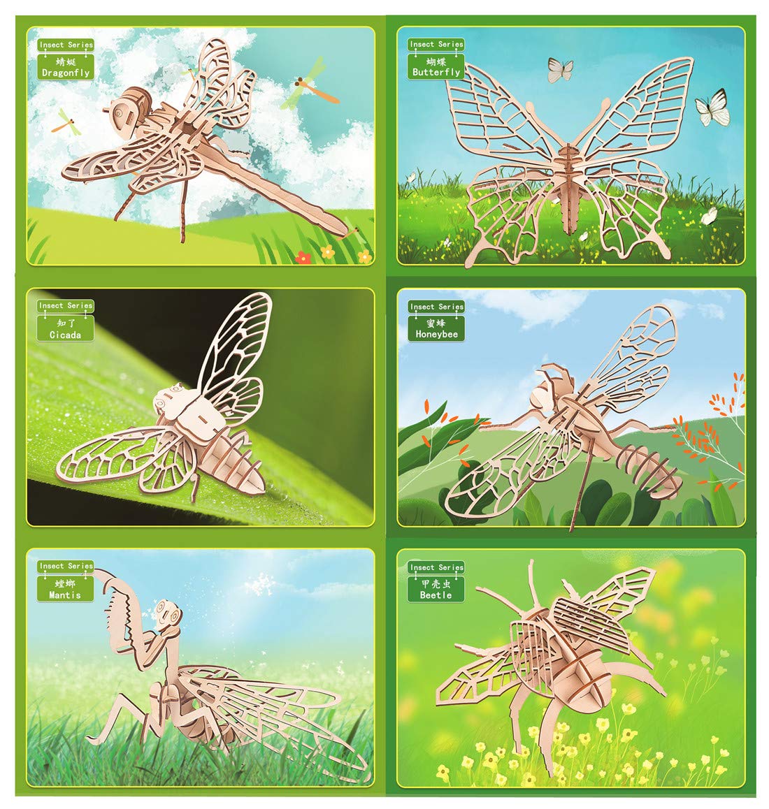 3D Wooden Insect Puzzle - 6 Piece Set Insect Animal Skeleton Assembly Model Puzzle - DIY Wooden Crafts 3D Puzzle - STEM Toys Gifts for Kids and Adults Teens Boys Girls