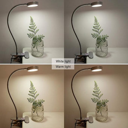 LEPOWER Clip on Light/Reading Light/Book Lights/Desk Lamp Color Changeable/Night Lights Clip on for Desk, Bed Headboard and Computers, Adapter Included, Silver