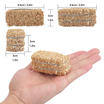 Yiksonyo 12 PCS Mini Decorative Hay Bales & 12 PCS Twisted Hemp Rope, Perfect for Table Centerpieces, Fall & Halloween Crafts, and Rustic Decor
