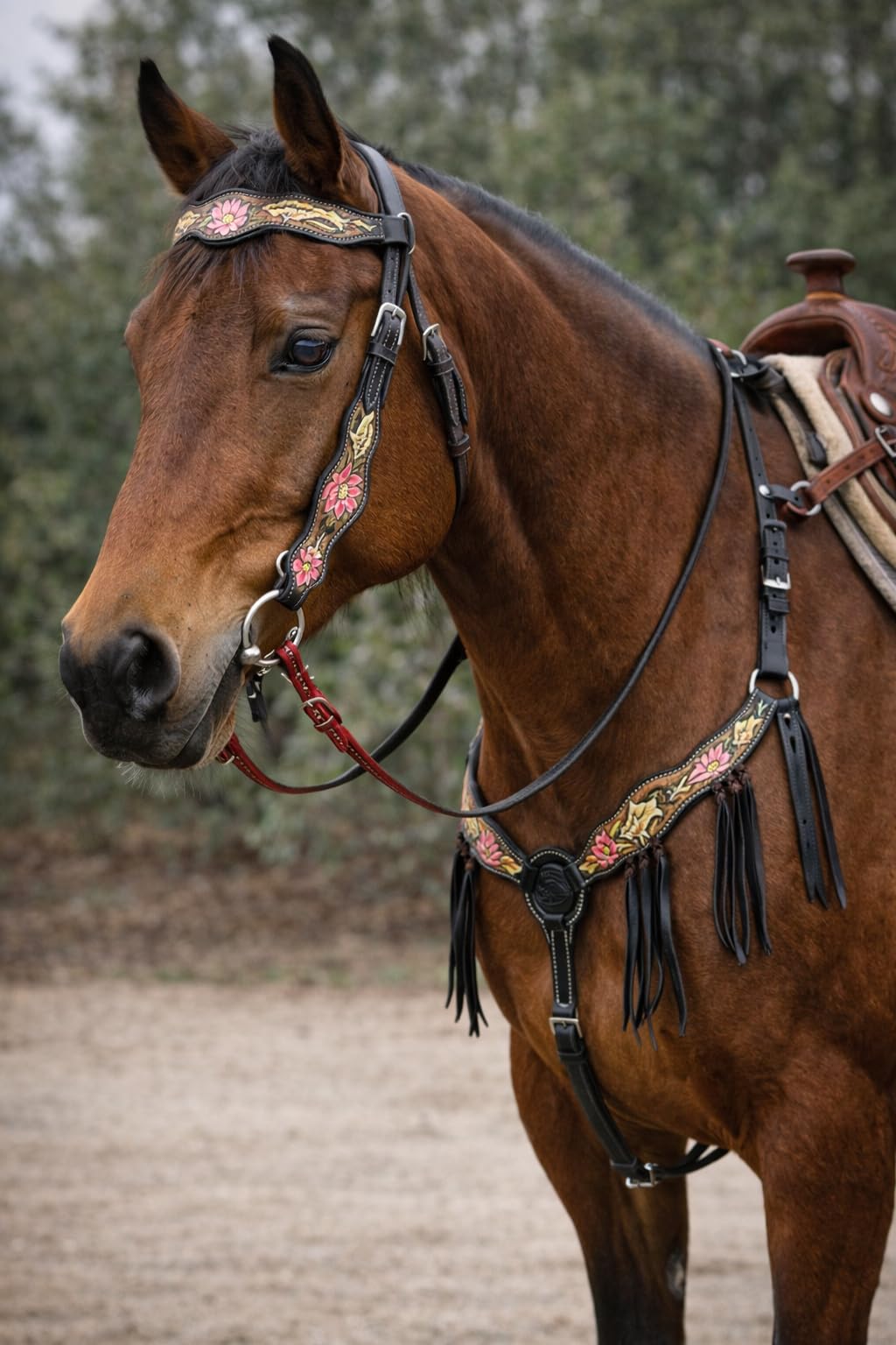 CHALLENGER Horse Horse Western Pink Lotus Hand-Painted Leather Bridle & Breast Collar Tack Set 78HR102B